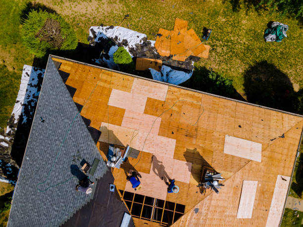 Best Metal Roofing Contractor  in Cobden, IL