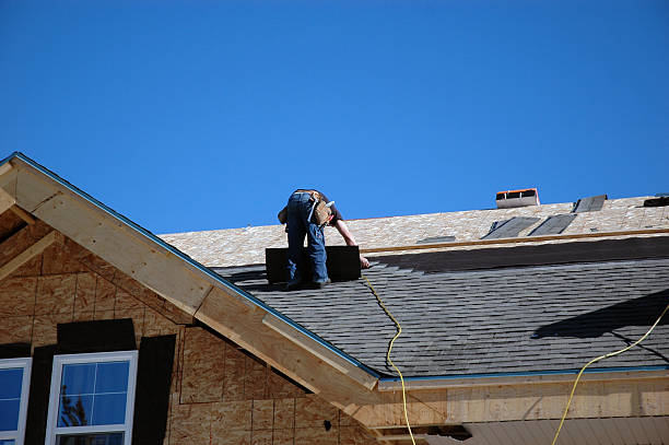 Best Shingle Roofing Installation  in Cobden, IL
