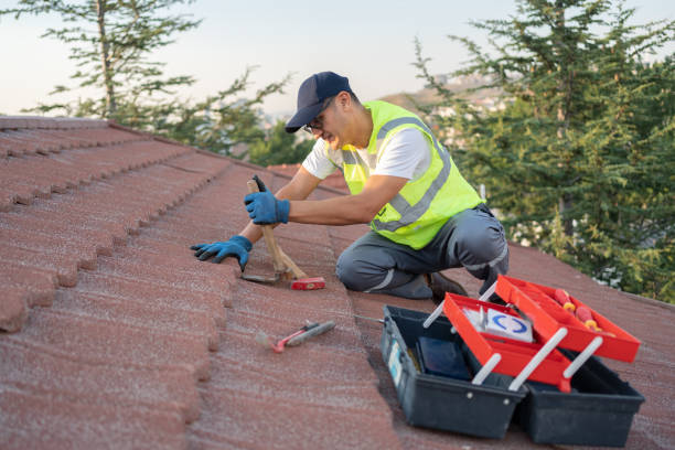 Best Local Roofing Companies  in Cobden, IL