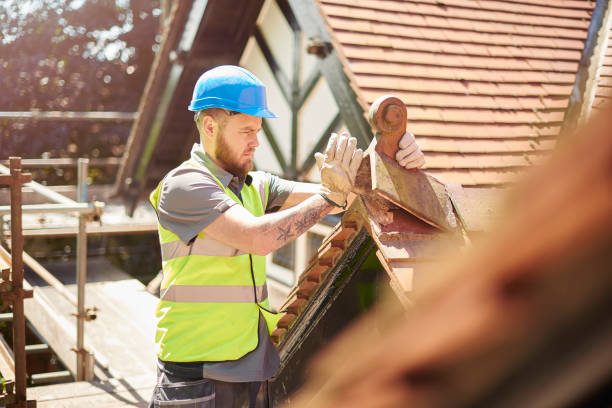 Best Flat Roof Repair Services  in Cobden, IL