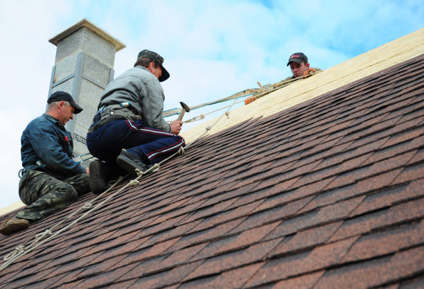 Professional Roofing Contractor in Cobden, IL